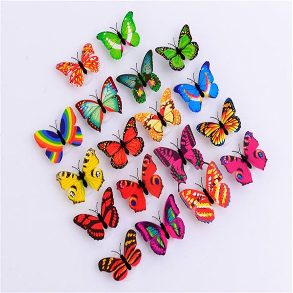 Vibrant Butterfly Wall Art