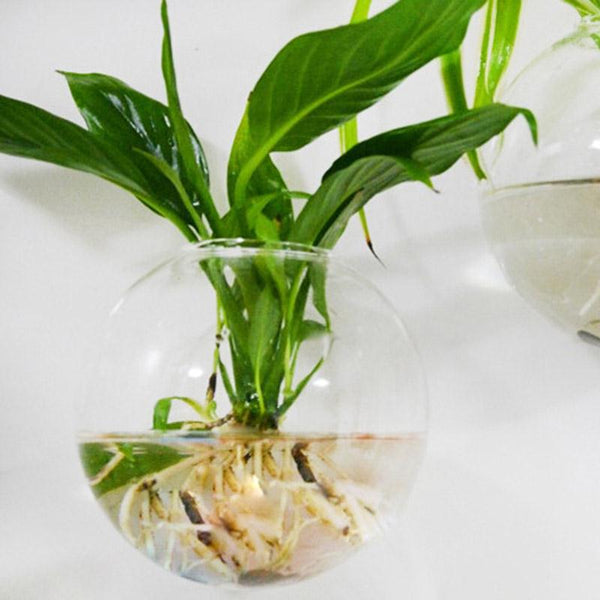 Transparent Hanging Flower Vase