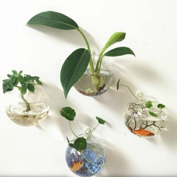 Transparent Hanging Flower Vase