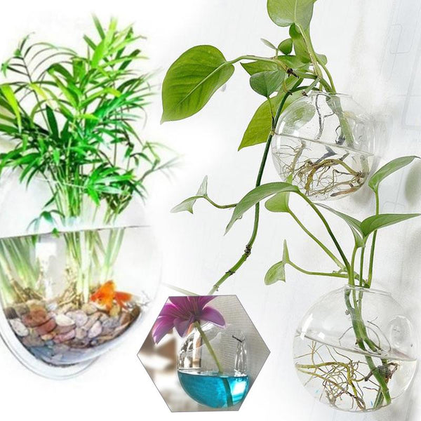 Transparent Hanging Flower Vase